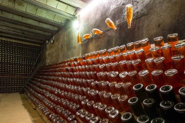 La Bodega | Sanstrave