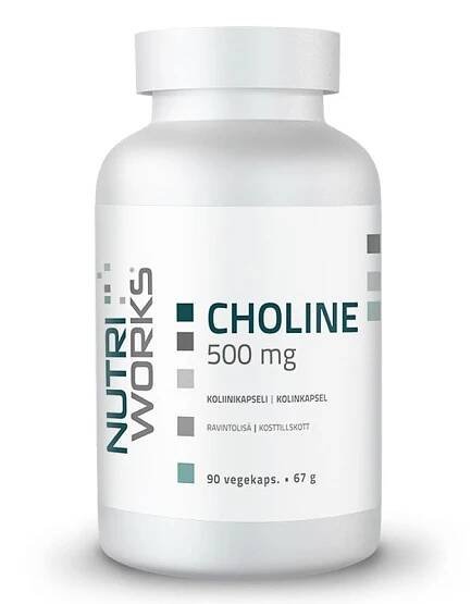 Choline 500 mg 90 kapslí