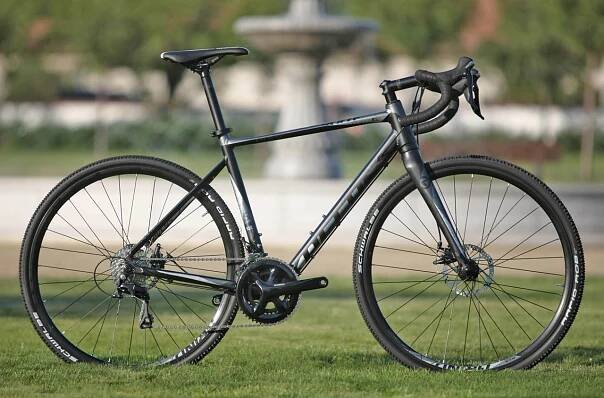 Kellys Soot 50