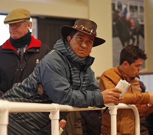 February Sale 2014 - Tattersalls