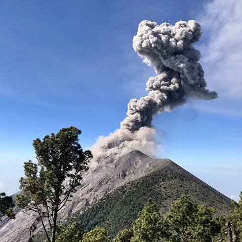 Why Guatemala?
