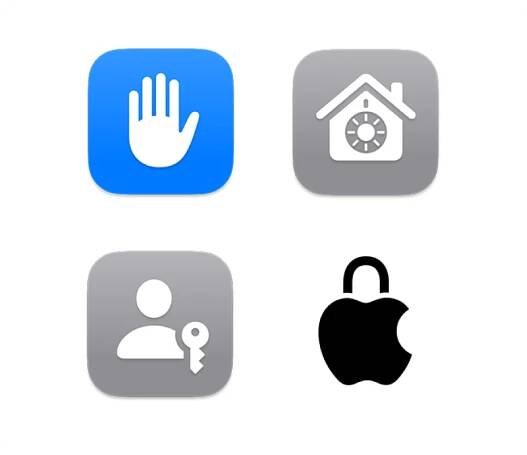 Four icons representing Privacy & Security, FileVault, Passkeys, and Privacy at Apple.