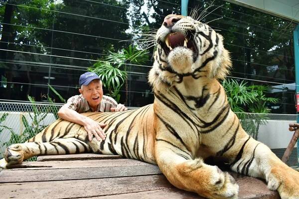 TIGER PARK