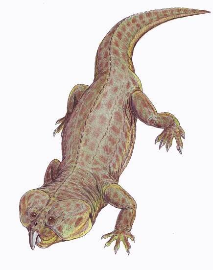 Rhynchosauria