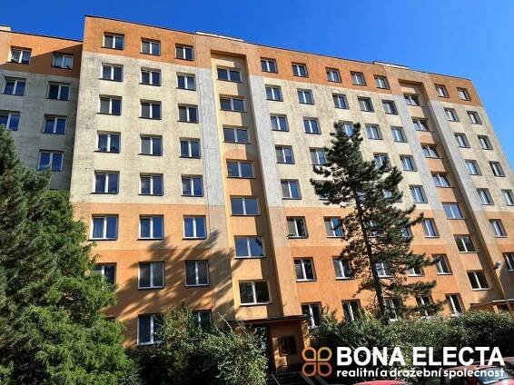 Pronájem bytu 2+1 - Bona Electa