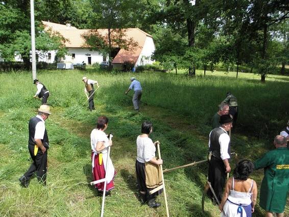 OBRAZEM: Sekáči ukáží v sobotu 2. července svoje umění s kosou