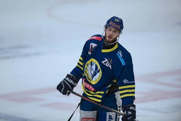 Zubři proti Slovákům nuloví. Zazářil ale gólman Němeček