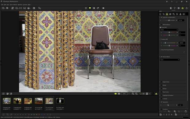 Adobe Camera Raw vs. Olympus Workspace: Which app should you use?
