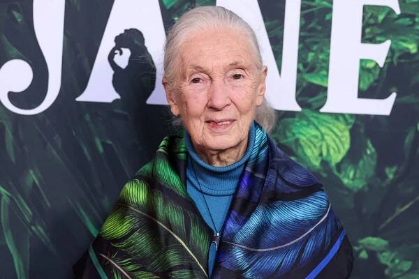 Fotka: Britská bioložka Jane Goodall