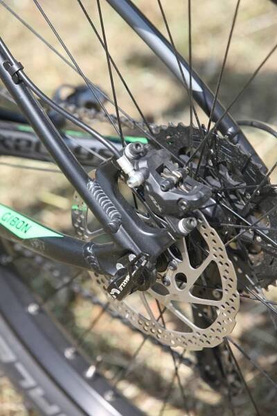 Kellys Gibon 70