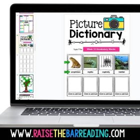 Picture dictionary for vocabulary activities ideas