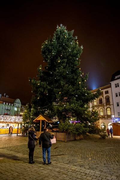 Vánoční strom v Olomouci už svítí, trhy začaly. Podívejte se