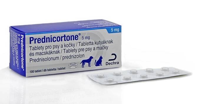 PREDNICORTONE 5 mg tablety pro psy a kočky – Sevaron