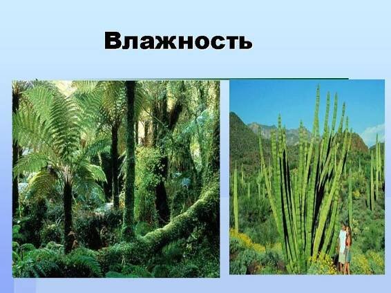 Jaké typy biotopů znáte?