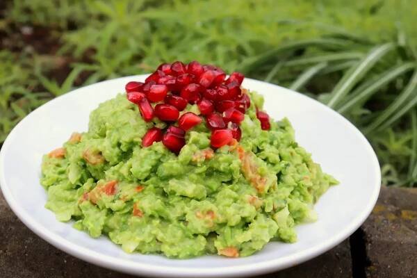 vegan - AvoSeedo - Grow your own Avocado Tree!