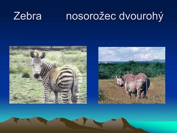 PPT - AFRICKÉ SAVANY PowerPoint Presentation, free download - ID:896288