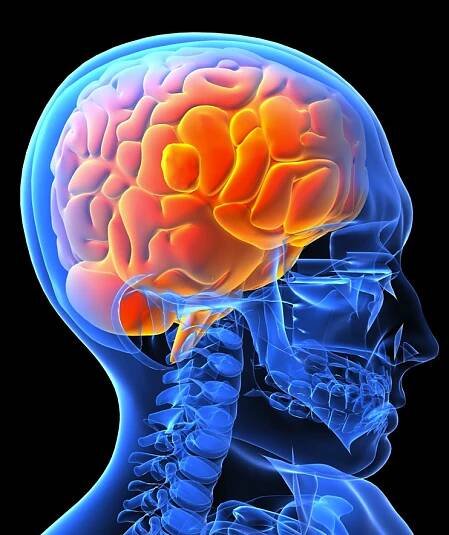 Biggest Threats to Your Brain Power