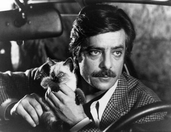 LOVERS AND LIARS, (aka VIAGGIO CON ANITA), Giancarlo Giannini, 1979, (c) Levitt Pickman Films