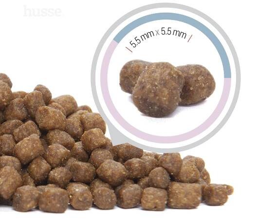 Husse Exclusive Kattunge 7 kg | Vyvážené granule pre mačiatka