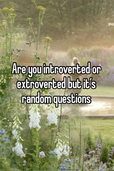 Are you extroverted or introverted but it different | Introvert extrovert quiz, Extroverted introvert, Extrovert