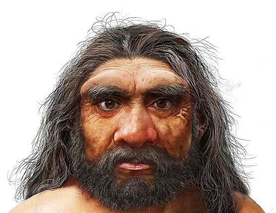 Recreating the face of 'Dragon Man,' an ancient human cousin