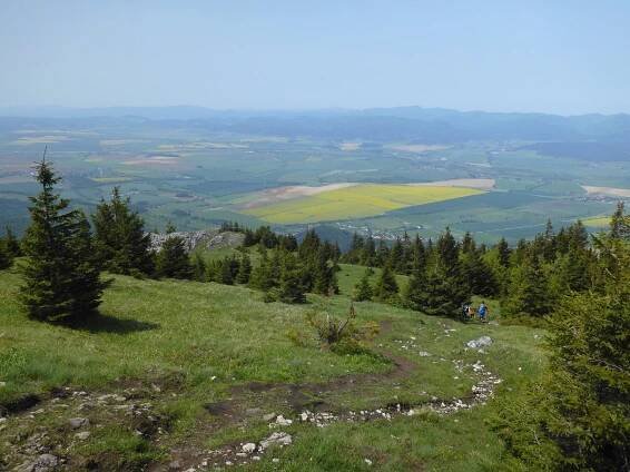 Kdo se bojí nesmí běžet lesem… - Hora | Turistika.cz