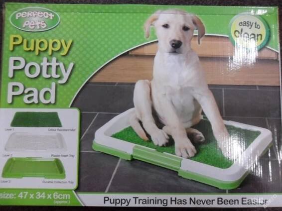 DOMÁCÍ TOALETA PRO PSY, ZÁCHOD, WC - Psí toaleta malá - Potty pad