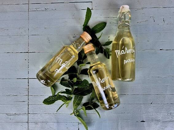 DOBROTY: Domácí mátový sirup s citronem