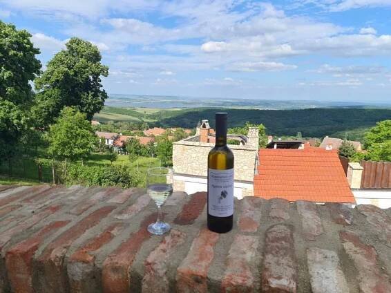 Vinařství Sklepnice foto 4