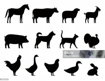Hospodářská zvířata černá ikony sada, Hospodářská zvířata, vektorová ilustrace - Bez autorských poplatků Počítačová ikona - Ortografický symbol vektorové obrázky