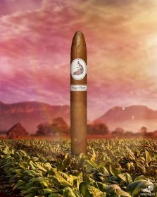 Cigar Gallery - Cigar Photography - Unique cigar imagery concepts
