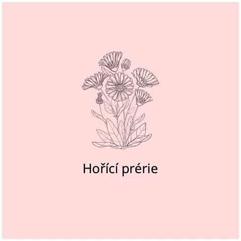 Hořící prérie