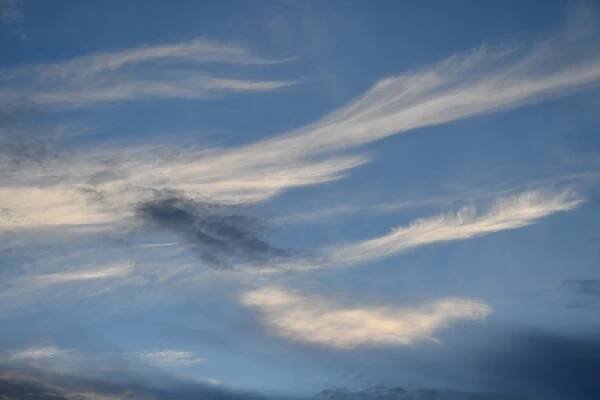 My Corner of the Sky