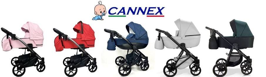 Cannex