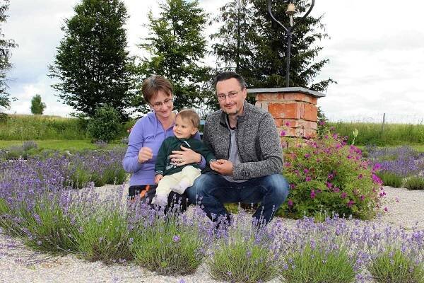 Lenka a Jiří Švarcovi si u svého domu v Kyžlířově na Potštátsku vypěstovali levandulový labyrint.