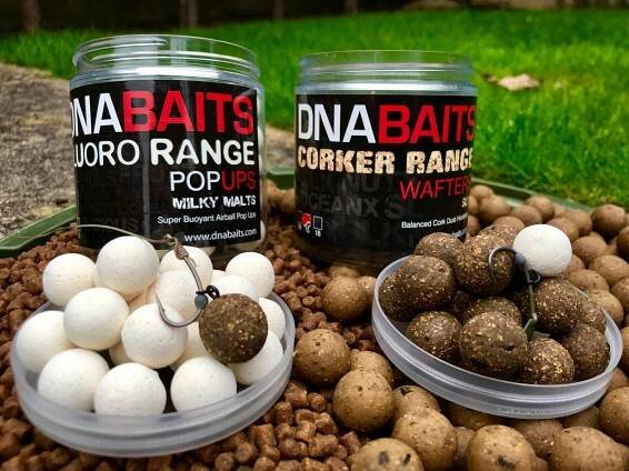 Open-Access Analysis: Trent View - DNA Baits