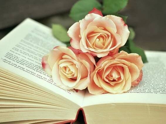 To kill a mockingbird - Why so famous a novel? Why so famous?