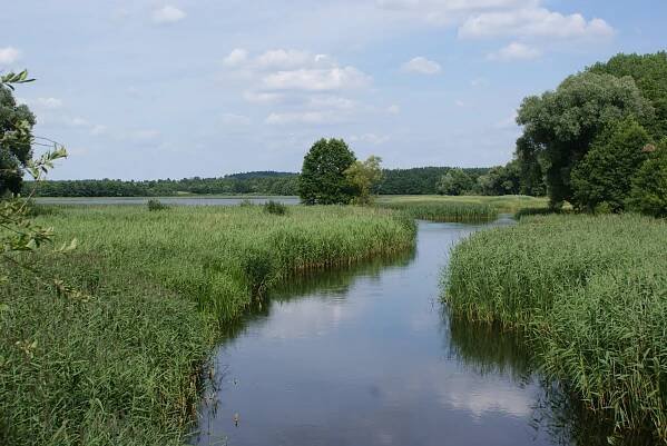 Ełk (Fluss)