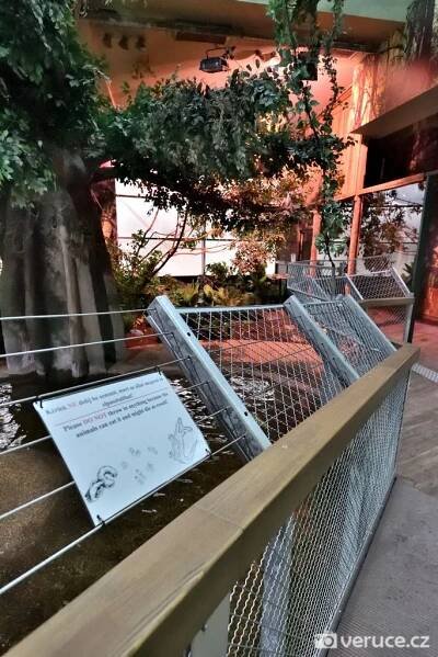 Budapešť | Tropicarium - zoo nejen se žraloky • Maďarsko • Kudy kam