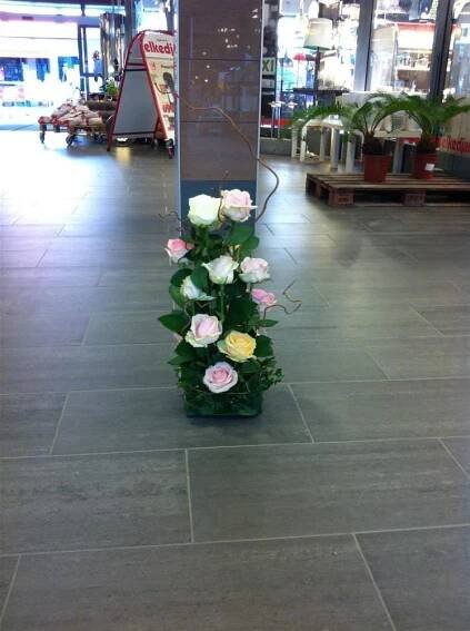 Bilder | Södra Blomsterhandeln