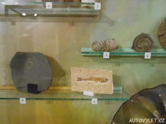 muzeum česká lípa 4