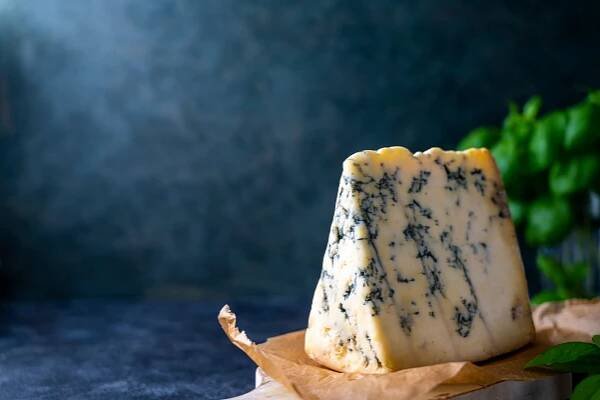 The Cheese Report 2025 | Food & Drink | Speciality Food Magazine