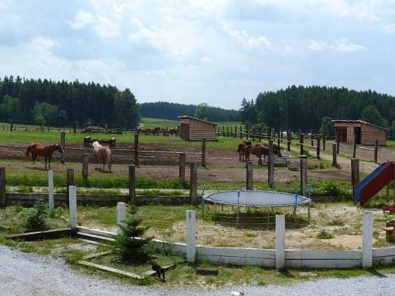 Fotogalerie | QRanch