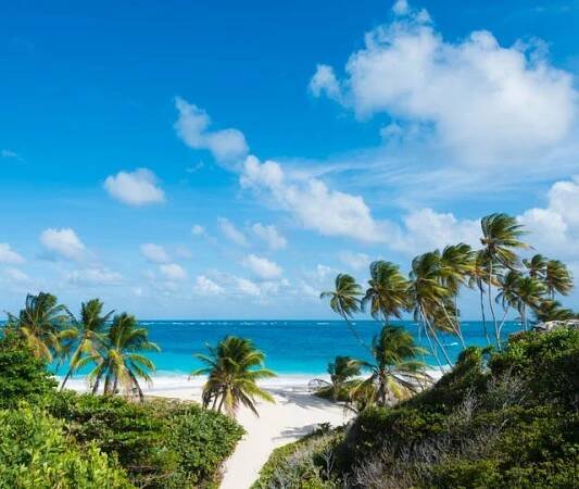 pláž bottom bay a palmy ve státě barbados - barbados - stock snímky, obrázky a fotky
