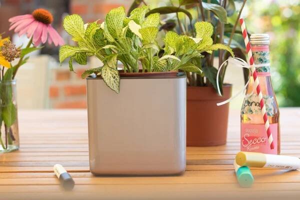 DIY-Junggesellinnenabschied – Pflanztöpfe gestalten