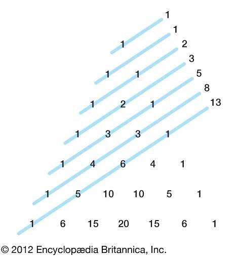 Fibonacci sequence | Definition, Formula, Numbers, Ratio, & Facts | Britannica
