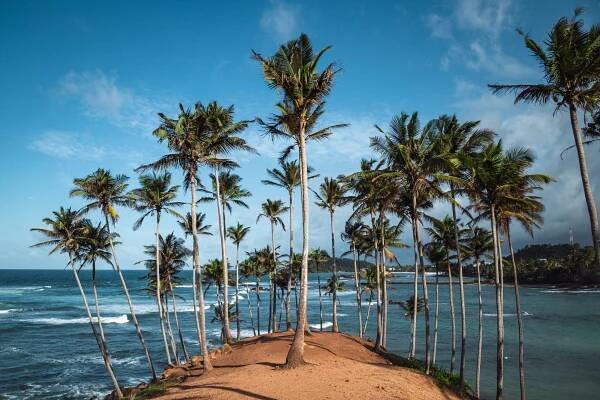 Wakacyjny wyjazd z dziećmi – Sri Lanka sierpień 2025