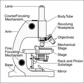 Parts Of A Light Microscope Labeled