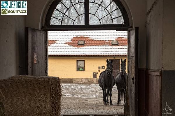 Zima ve Slatiňanech objektivem Ivana Krejzy | Jezdci.cz