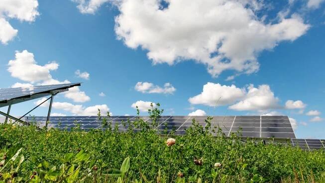 Agrovoltaika se dočkala prováděcího předpisu – pěstování plodin pod fotovoltaickými panely může začít - Frank Bold Advokáti